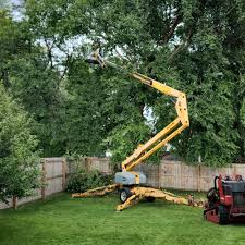 Best Palm Tree Trimming  in Pineville, KY