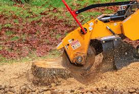 Best Tree Trimming and Pruning  in Pineville, KY
