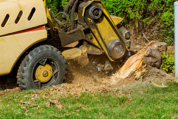 Best Firewood Processing and Delivery  in Pineville, KY