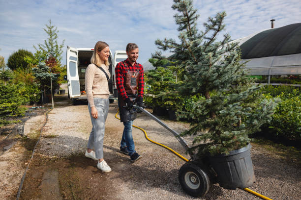 Best Emergency Tree Removal  in Pineville, KY