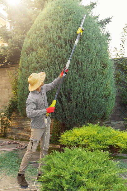 Best Artificial Turf Installation  in Pineville, KY